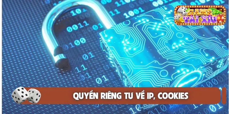 Quyền riêng tư về IP, cookies